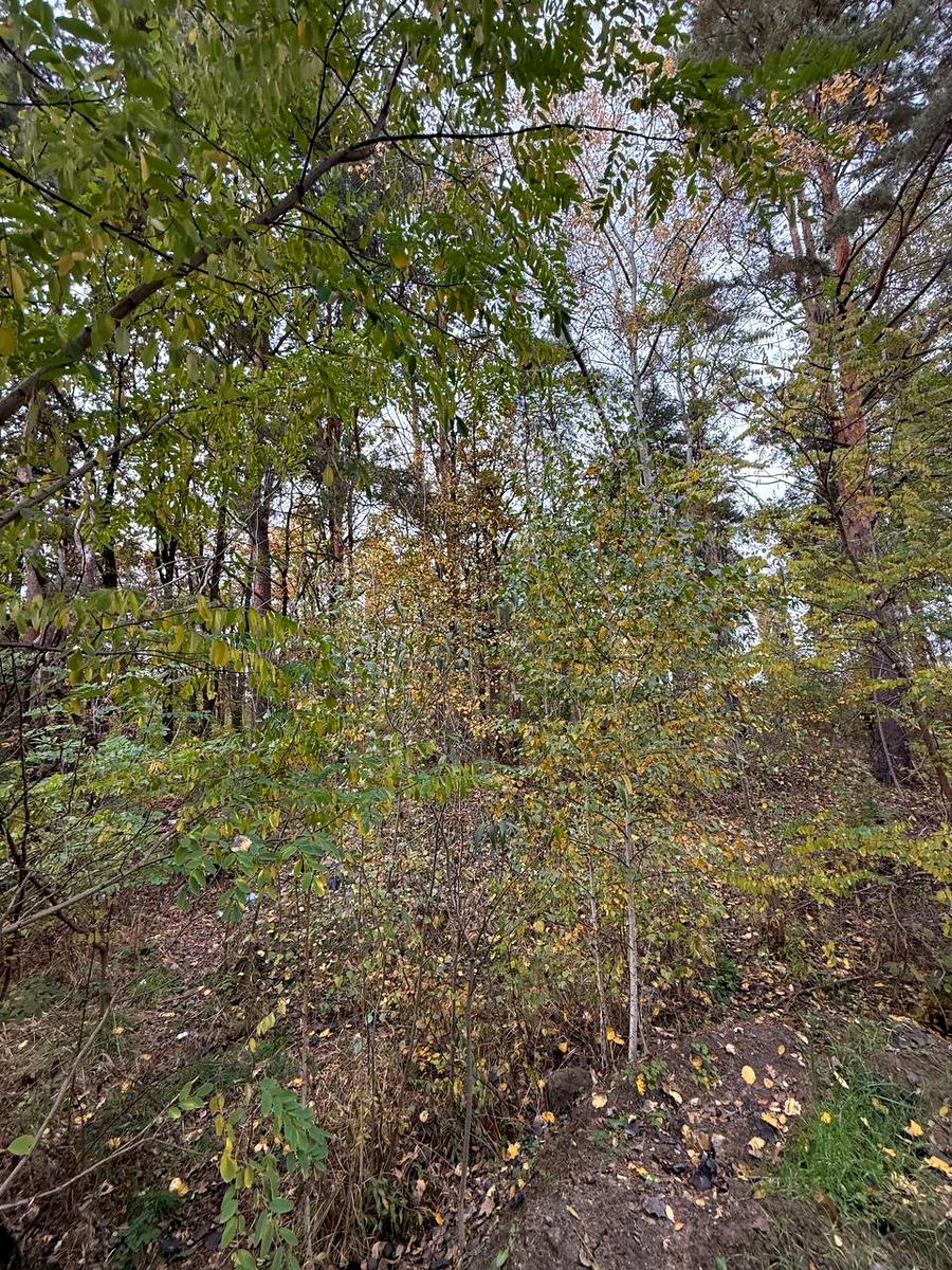 1849943957849735