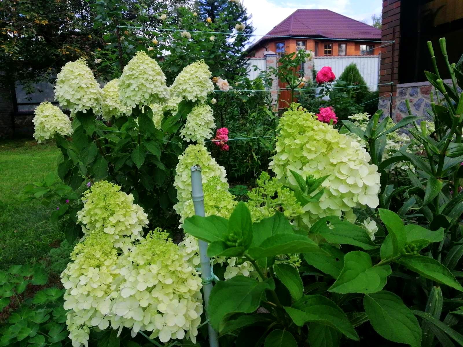 Дом по адресу ул. Варшавская (площадь 67 м²) - Atlanta.ua - фото 11