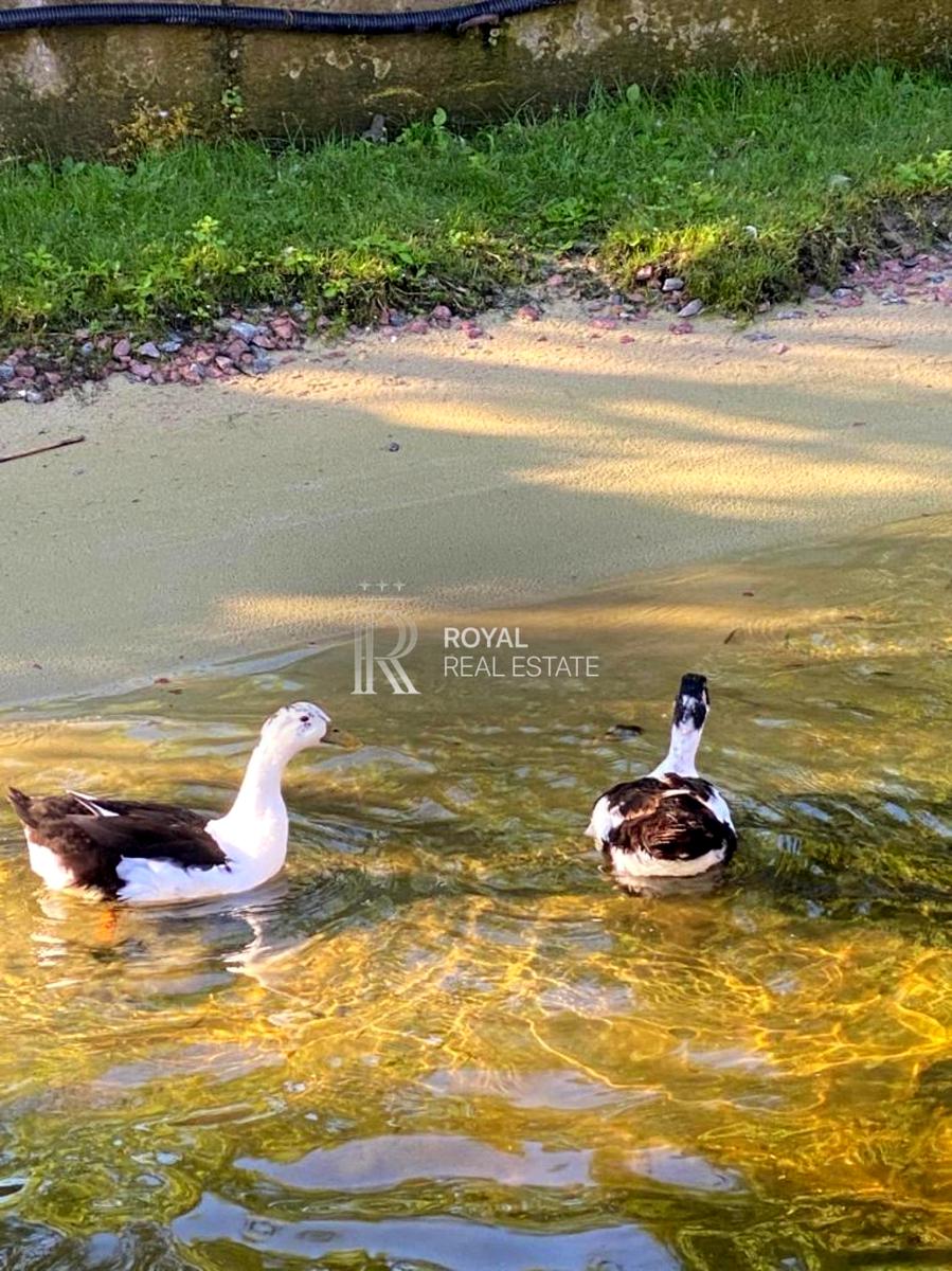 Дом по адресу (площадь 200 м²) - Atlanta.ua - фото 13