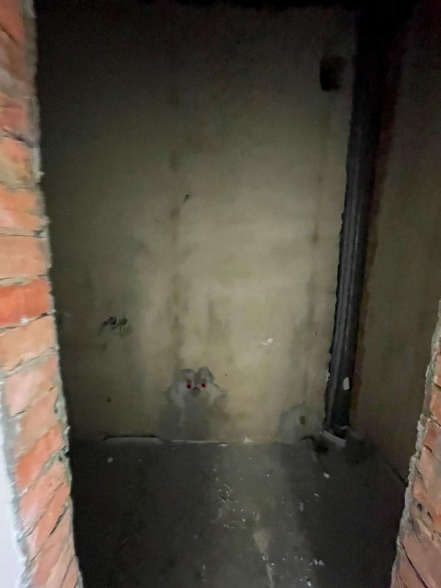 Будинок за адресою вул. Соборна (площа 105 м²) - Atlanta.ua - фото 10