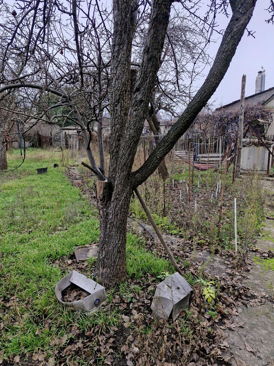 1850336874809294