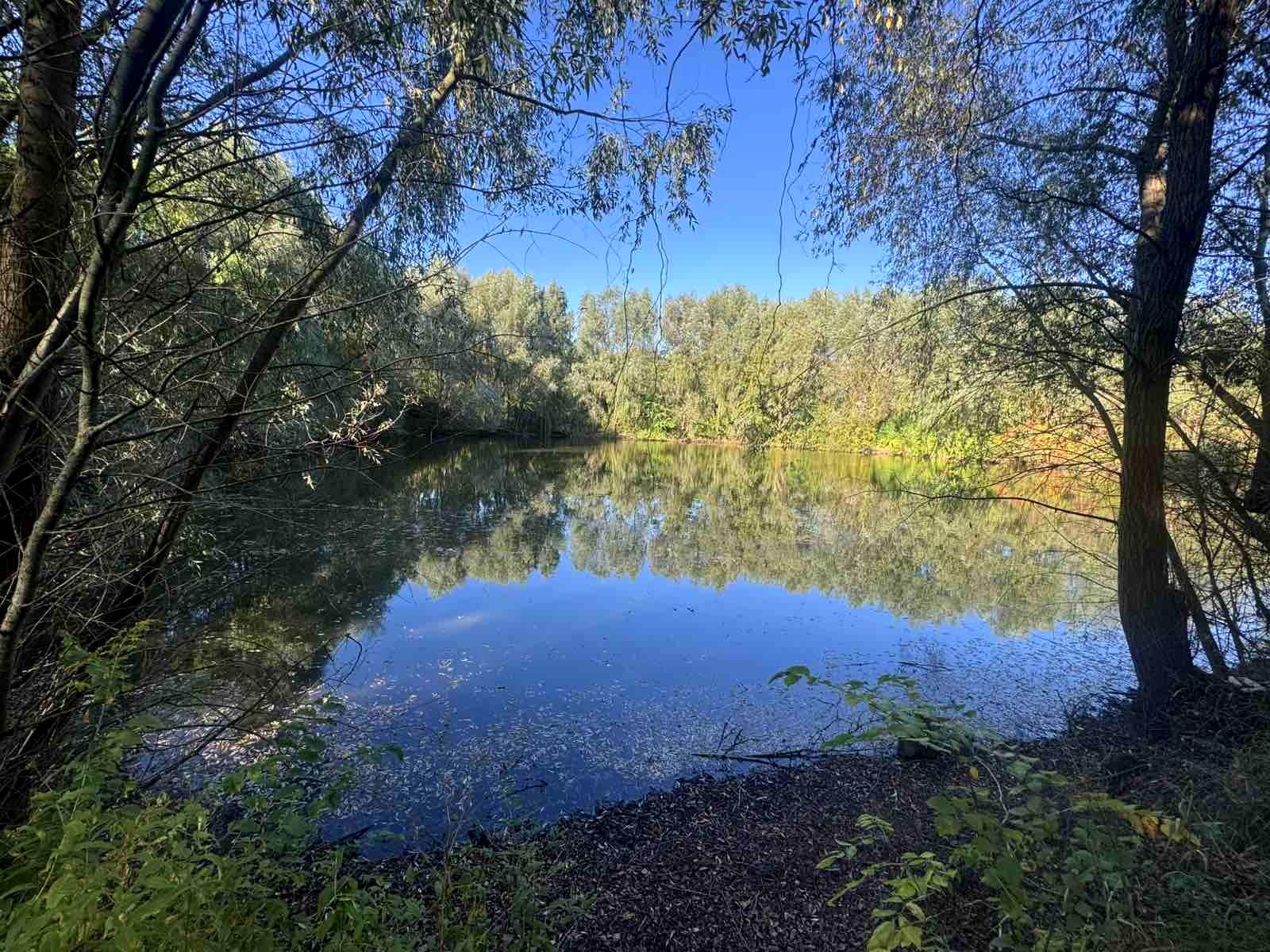 Дом по адресу (площадь 800 м²) - Atlanta.ua - фото 16