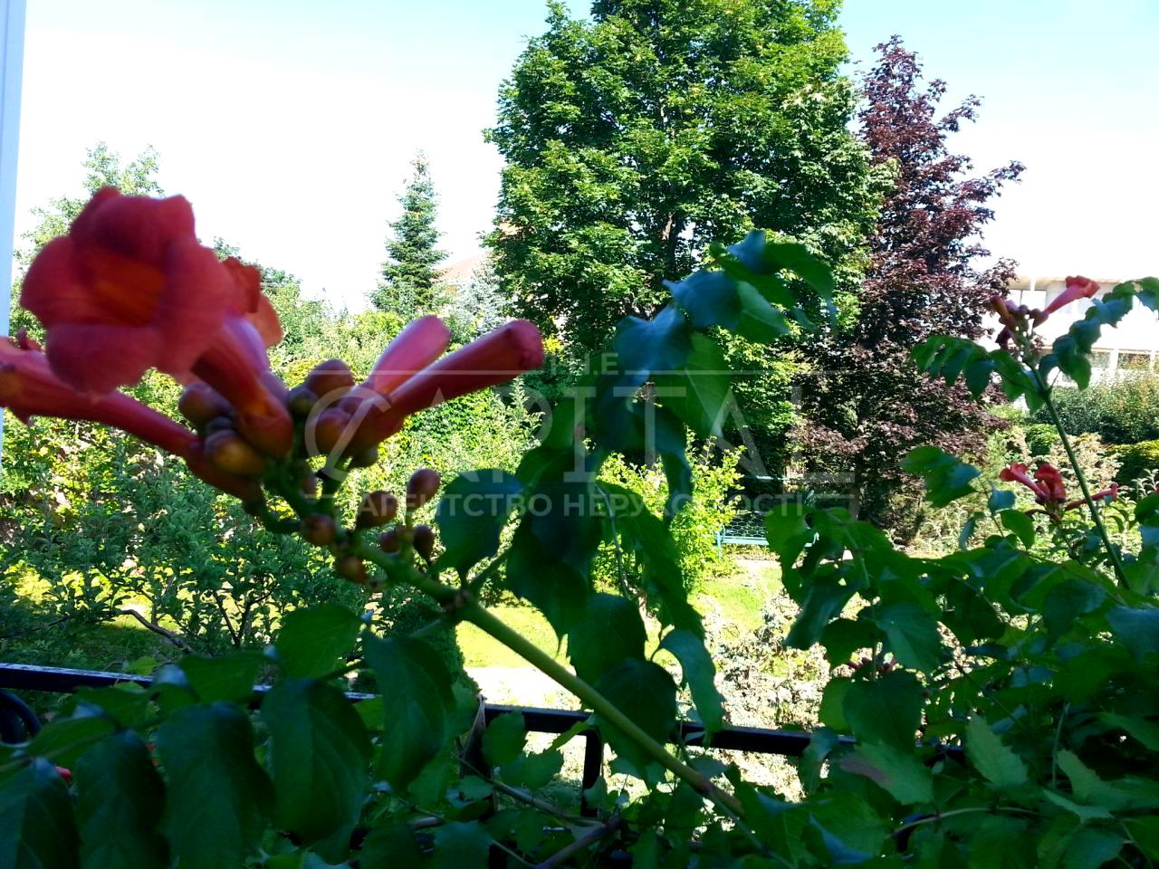 House by the address (area 550 m²) - Atlanta.ua - photo 15