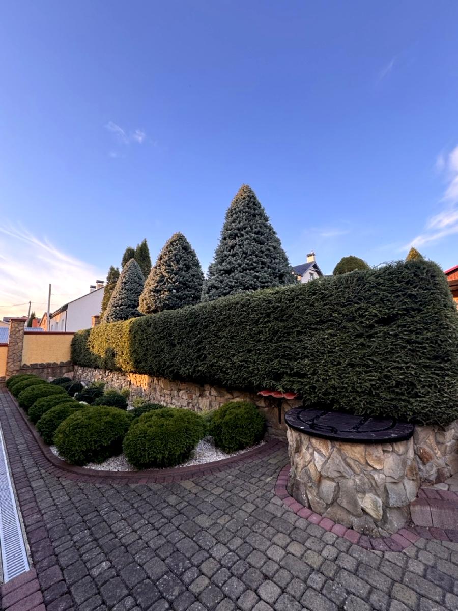 Дом по адресу (площадь 260 м²) - Atlanta.ua - фото 36