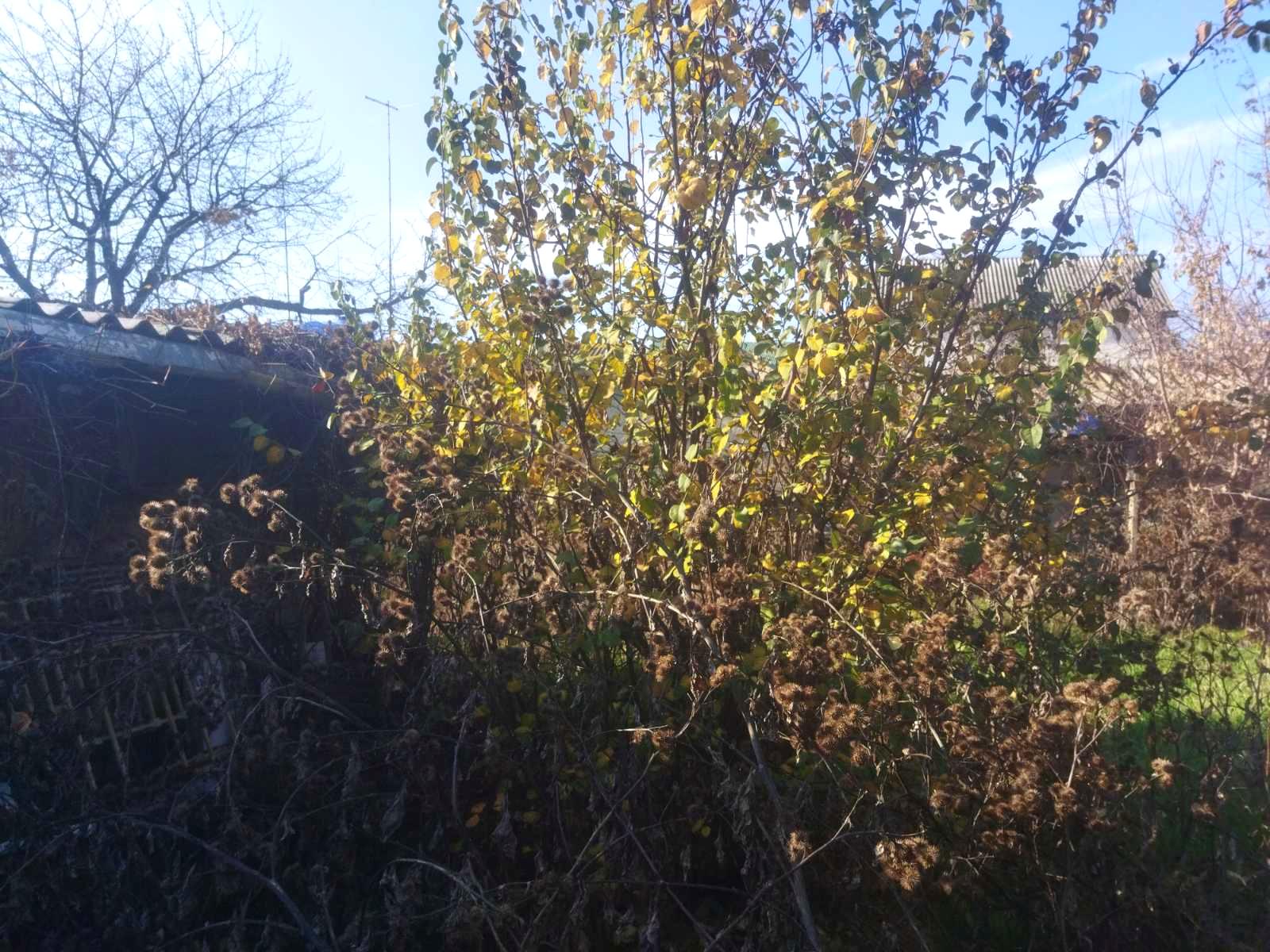 Будинок за адресою вул. Аеродромна (площа 58 м²) - Atlanta.ua - фото 4