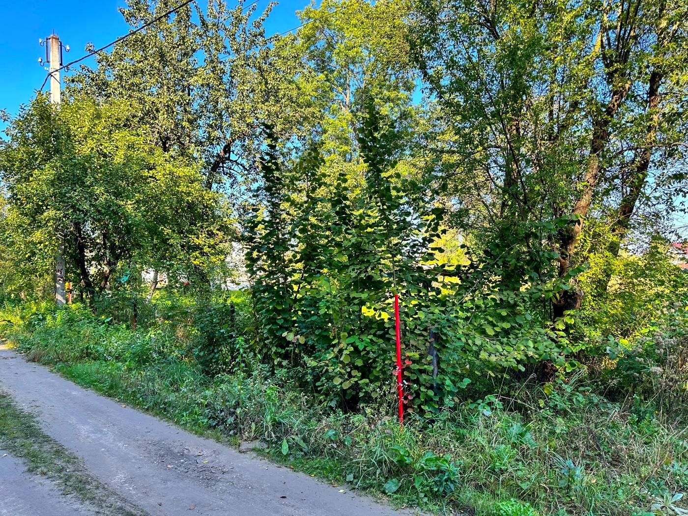 1850576600614045