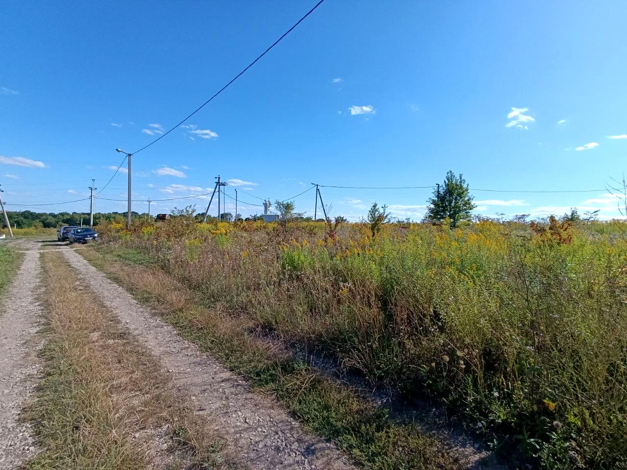 1850582430950745