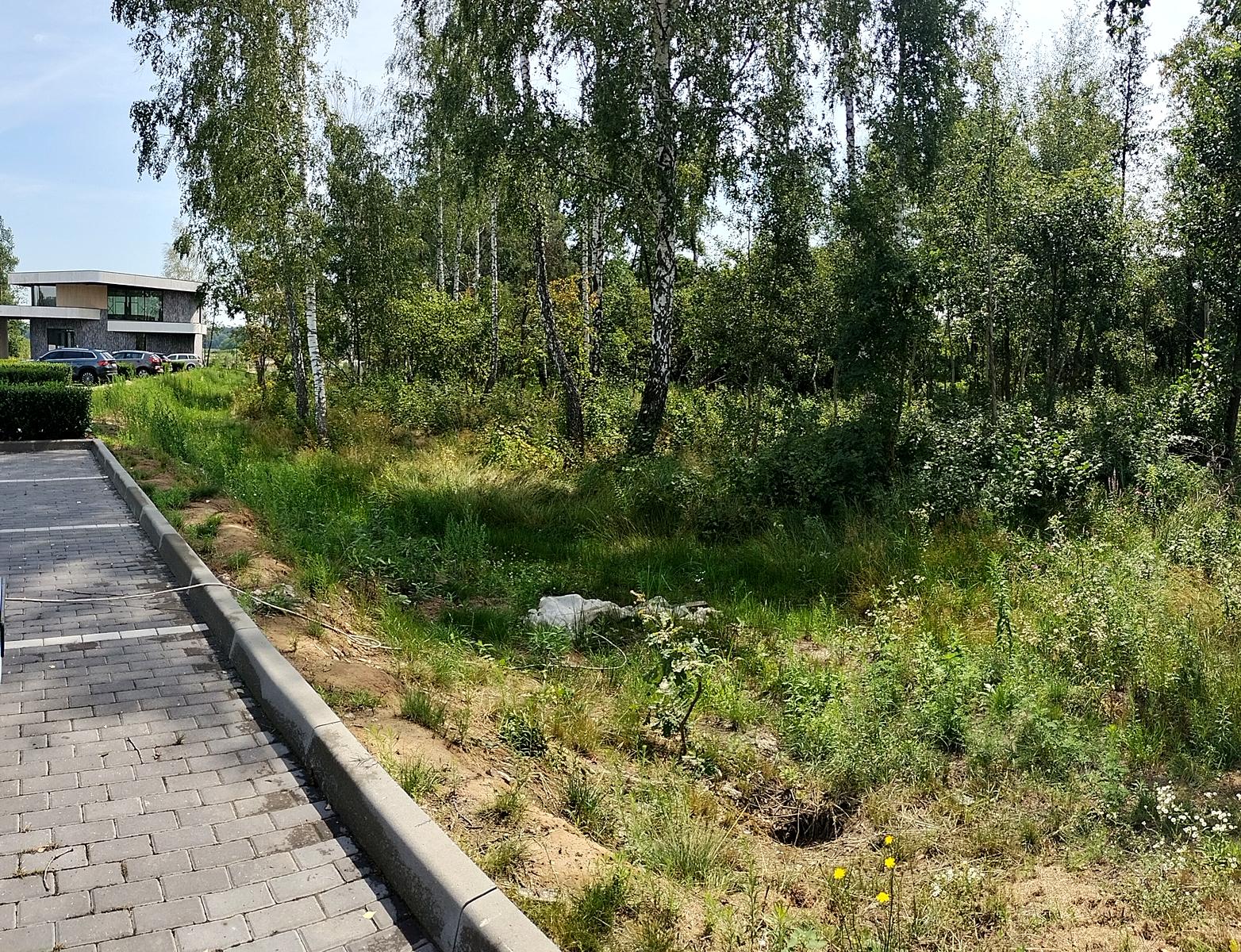 1850582715356663