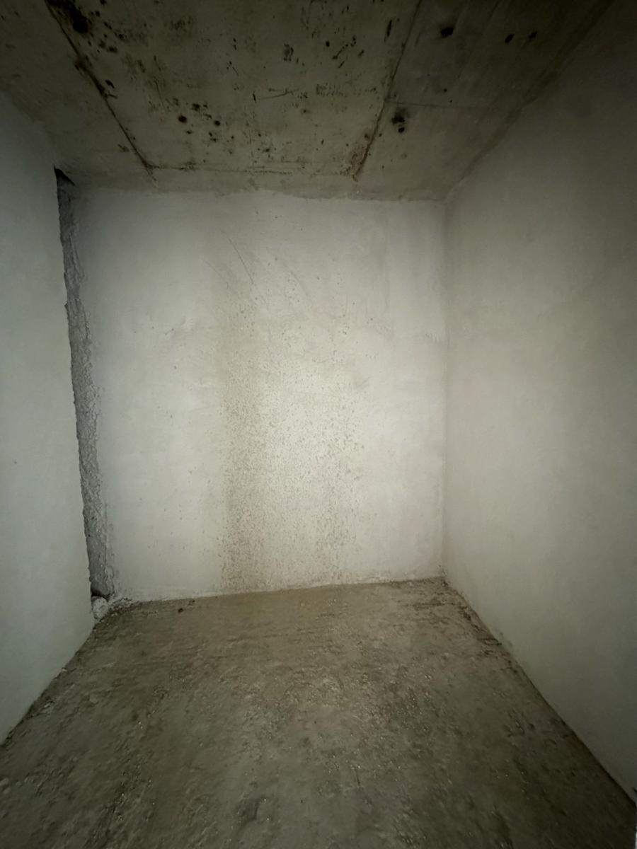 1850667044106867