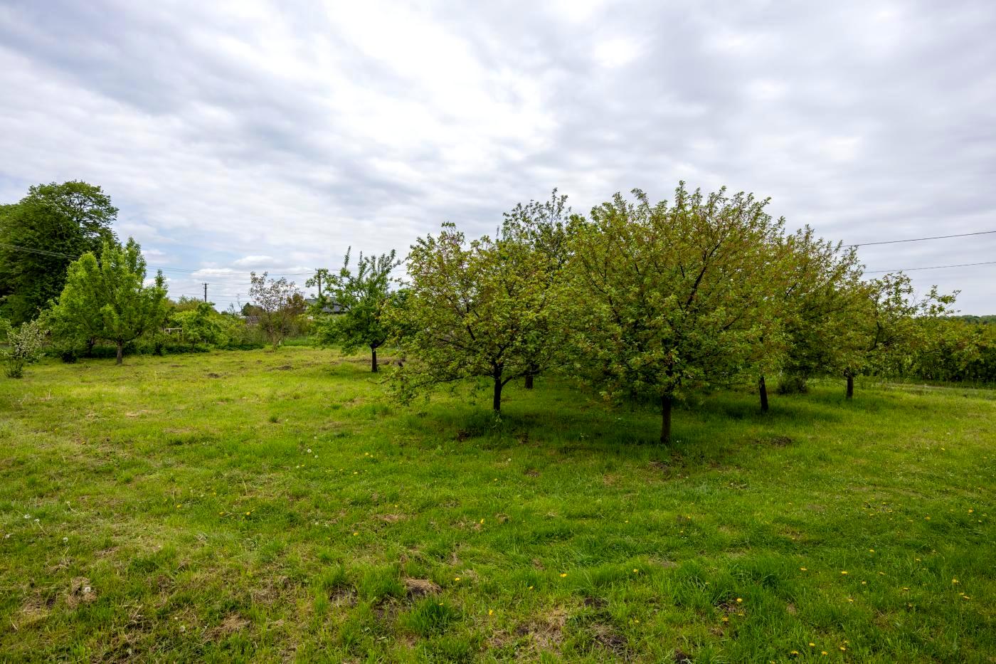 Дом по адресу ул. Сушко (площадь 262,4 м²) - Atlanta.ua - фото 8