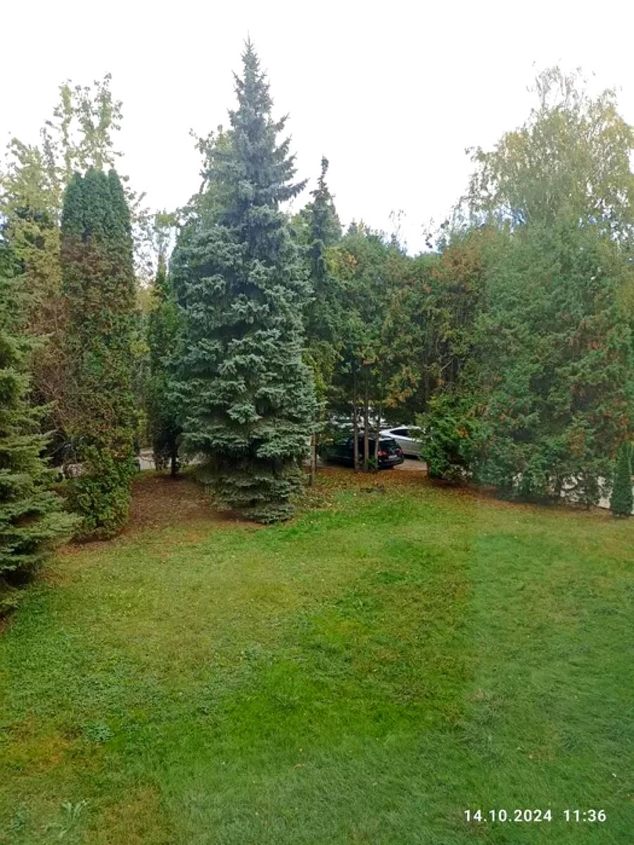 Commercial real estate at st. Kalicha Gora ul (area 1918 m²) - Atlanta.ua - photo 10