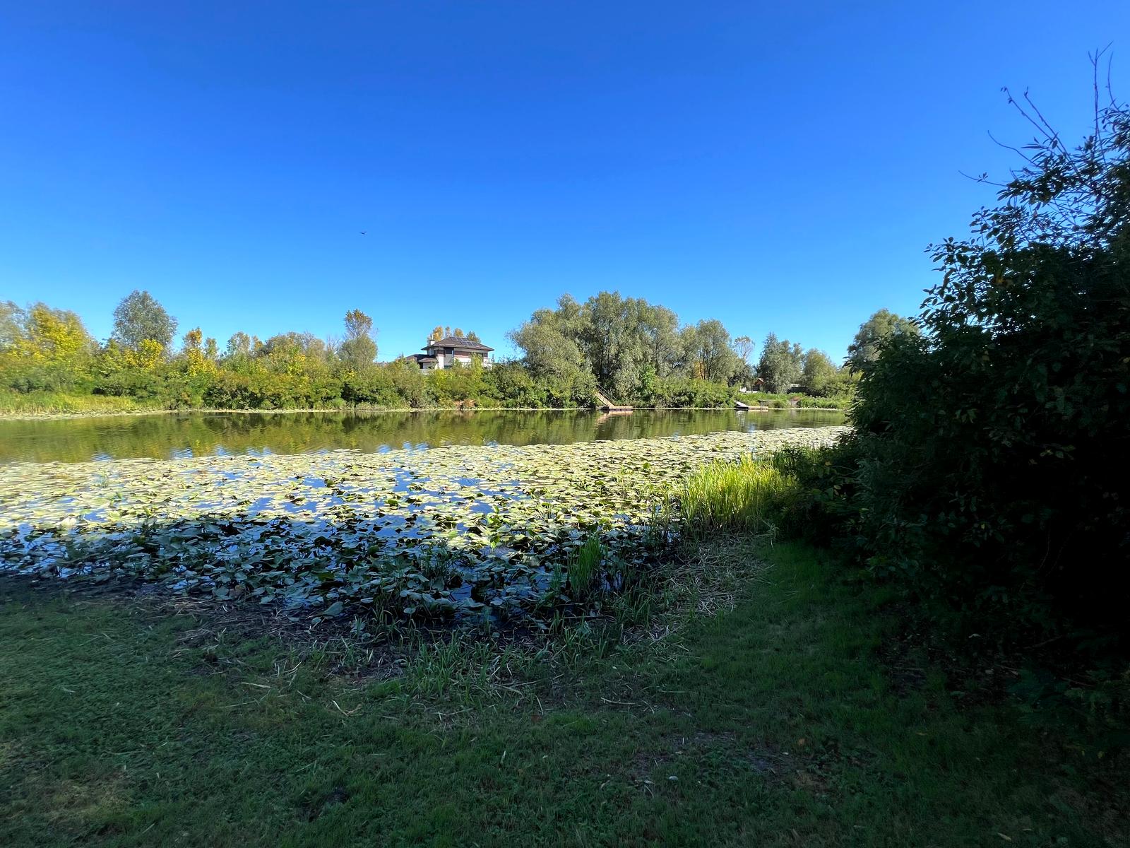 Будинок за адресою (площа 161 м²) - Atlanta.ua - фото 26