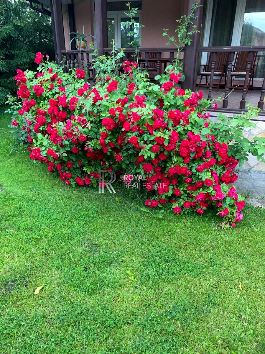 Дом по адресу (площадь 375 м²) - Atlanta.ua - фото 5