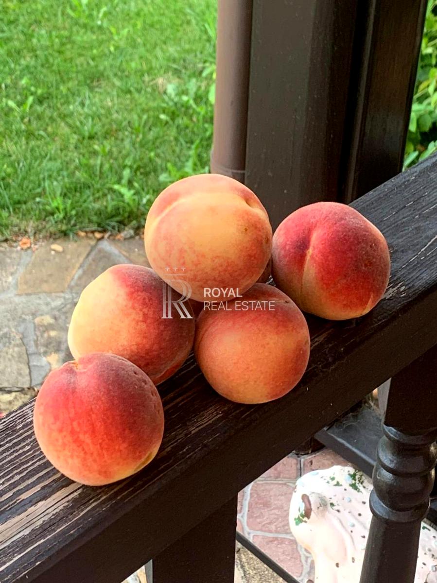 Дом по адресу (площадь 375 м²) - Atlanta.ua - фото 7