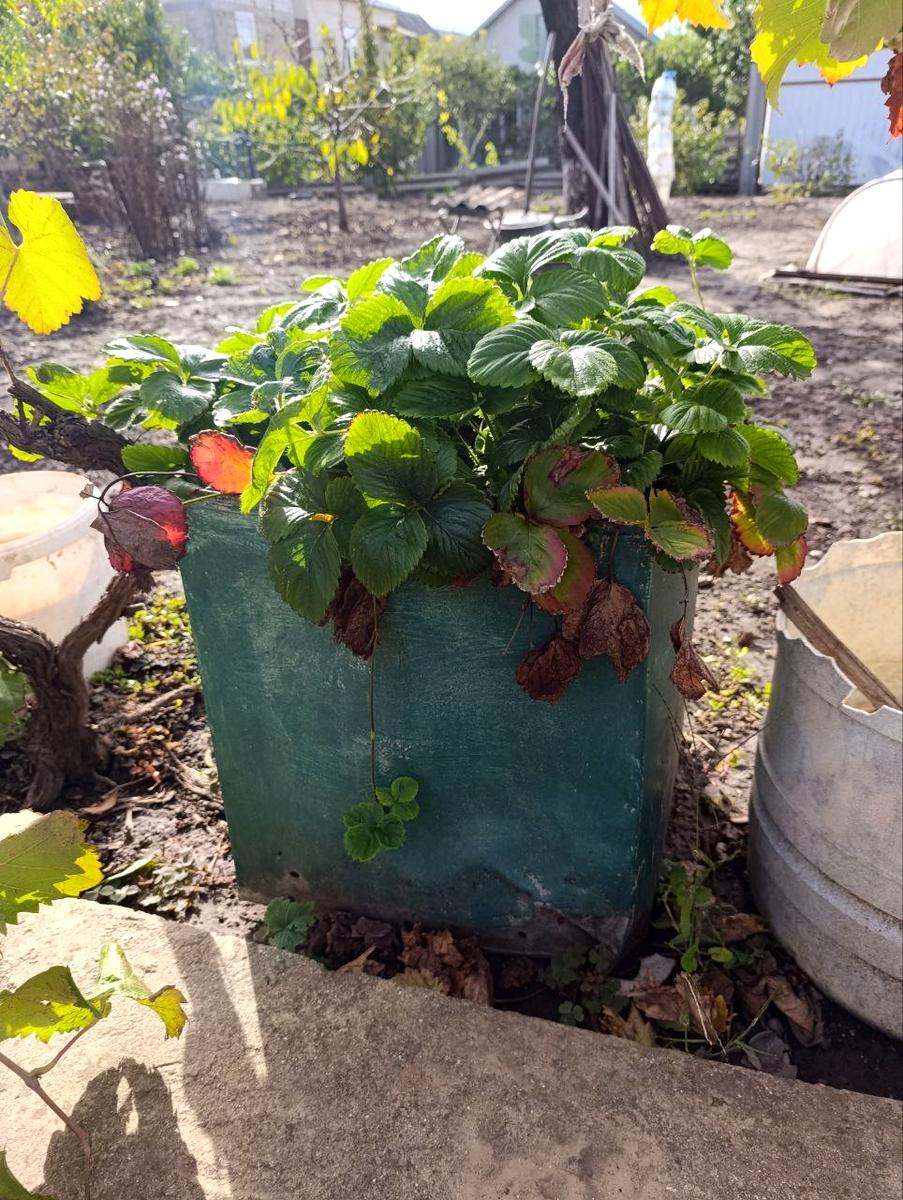 House by the address (area 114 m²) - Atlanta.ua - photo 4