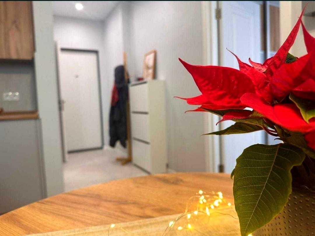 1-комнатная квартира по адресу Балтийский пер. (площадь 33 м²) - Atlanta.ua - фото 3