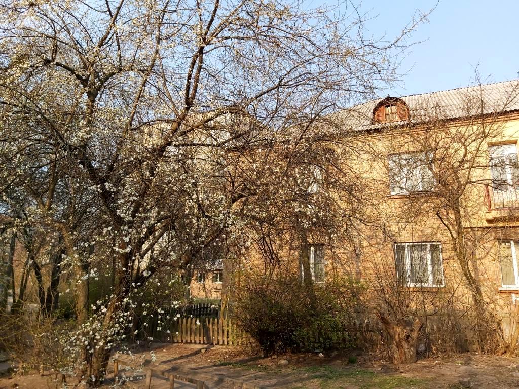 3-rooms apartment apartment by the address (area 60 m²) - Atlanta.ua - photo 10