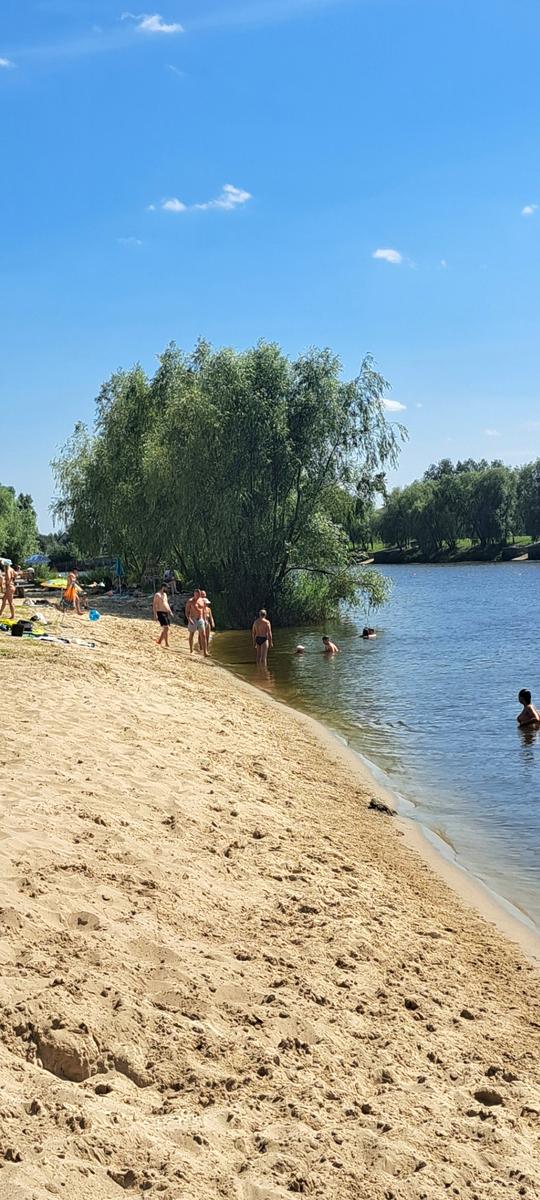 Дом по адресу Люстдорфская дор. (площадь 260 м²) - Atlanta.ua - фото 25