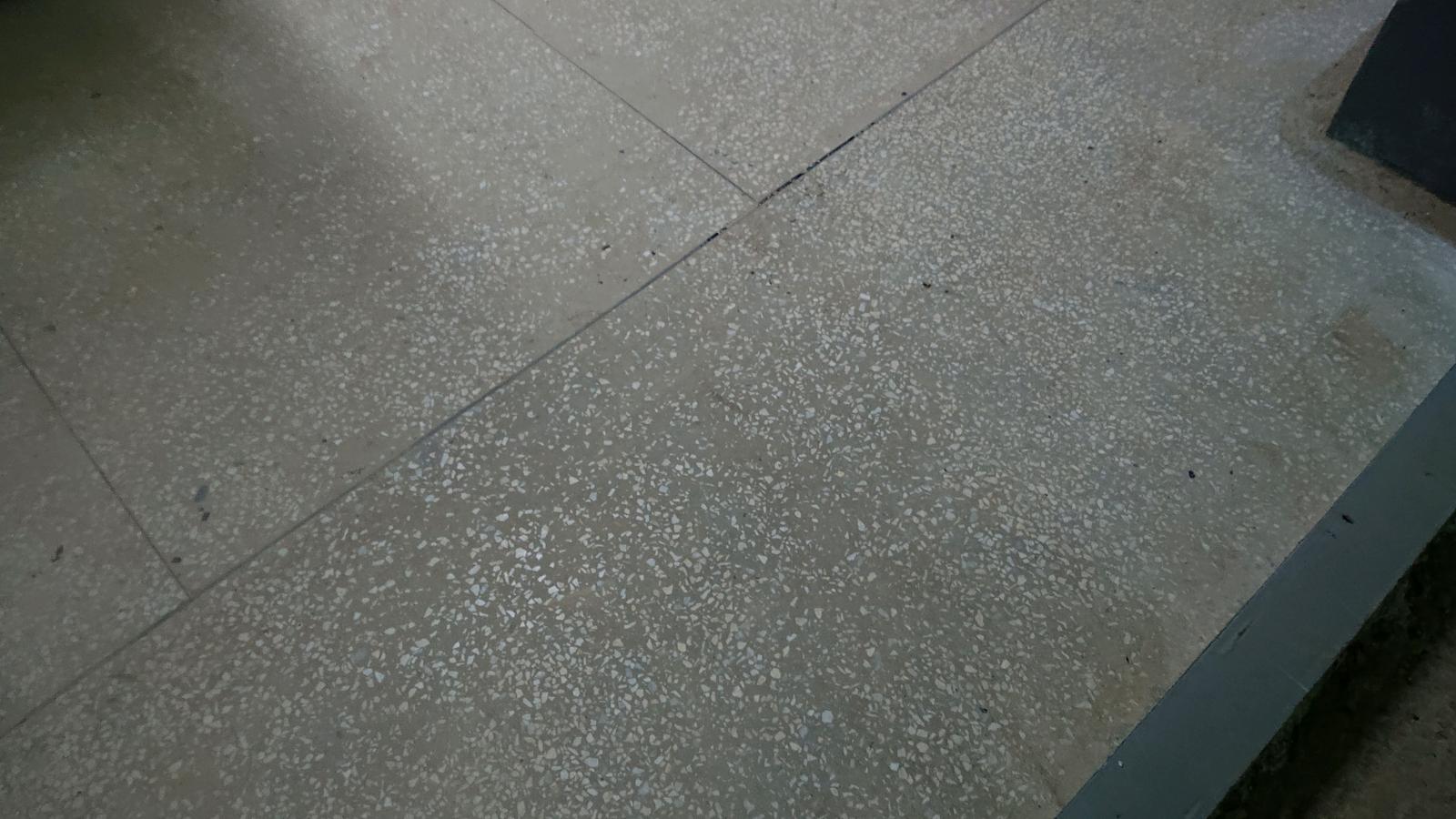 1830493337037187