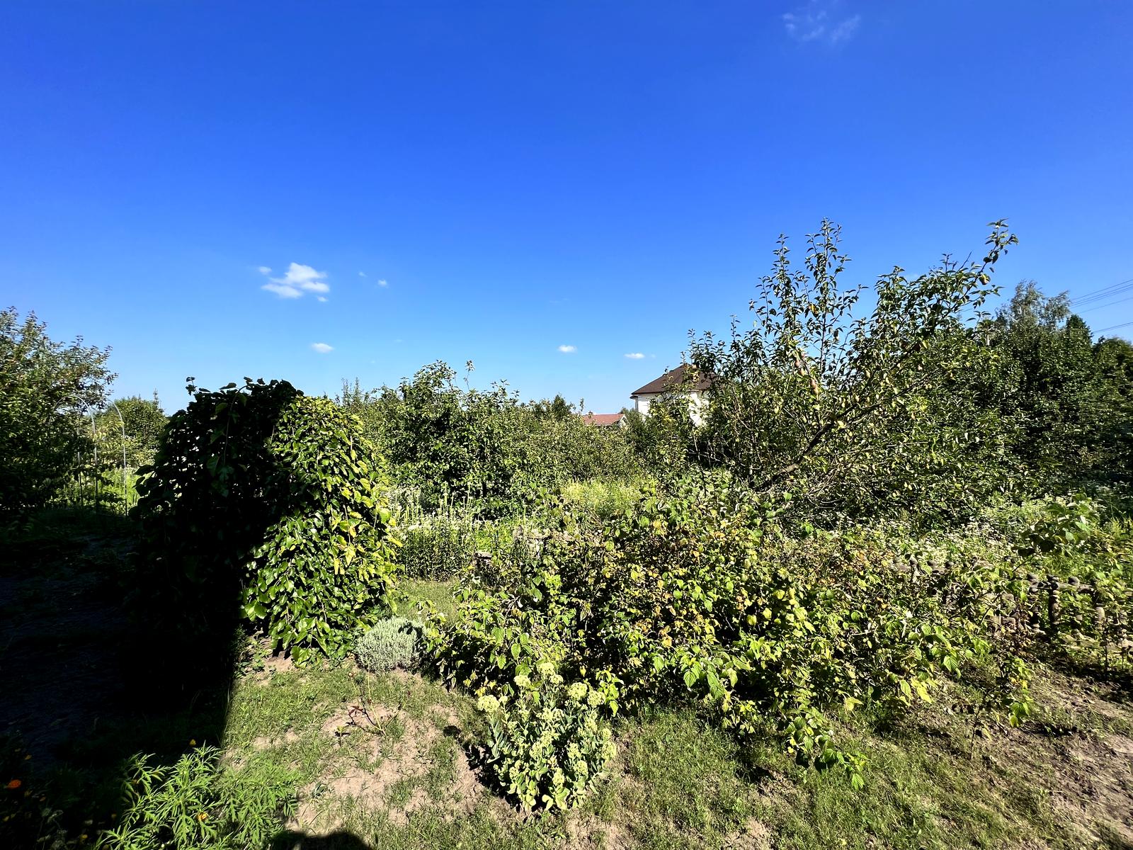 Дом по адресу (площадь 305 м²) - Atlanta.ua - фото 13