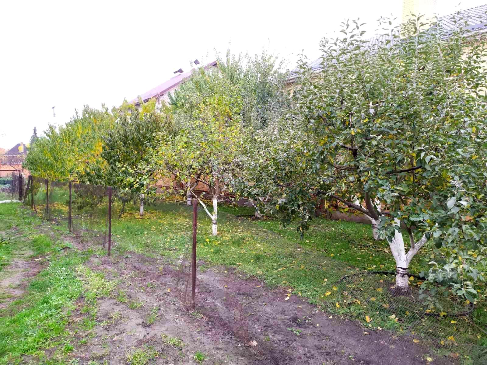 House by the address (area 578 m²) - Atlanta.ua - photo 16