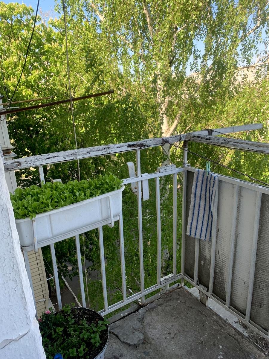 2-комнатная квартира по адресу ул. Парусная (площадь 24 м²) - Atlanta.ua - фото 14