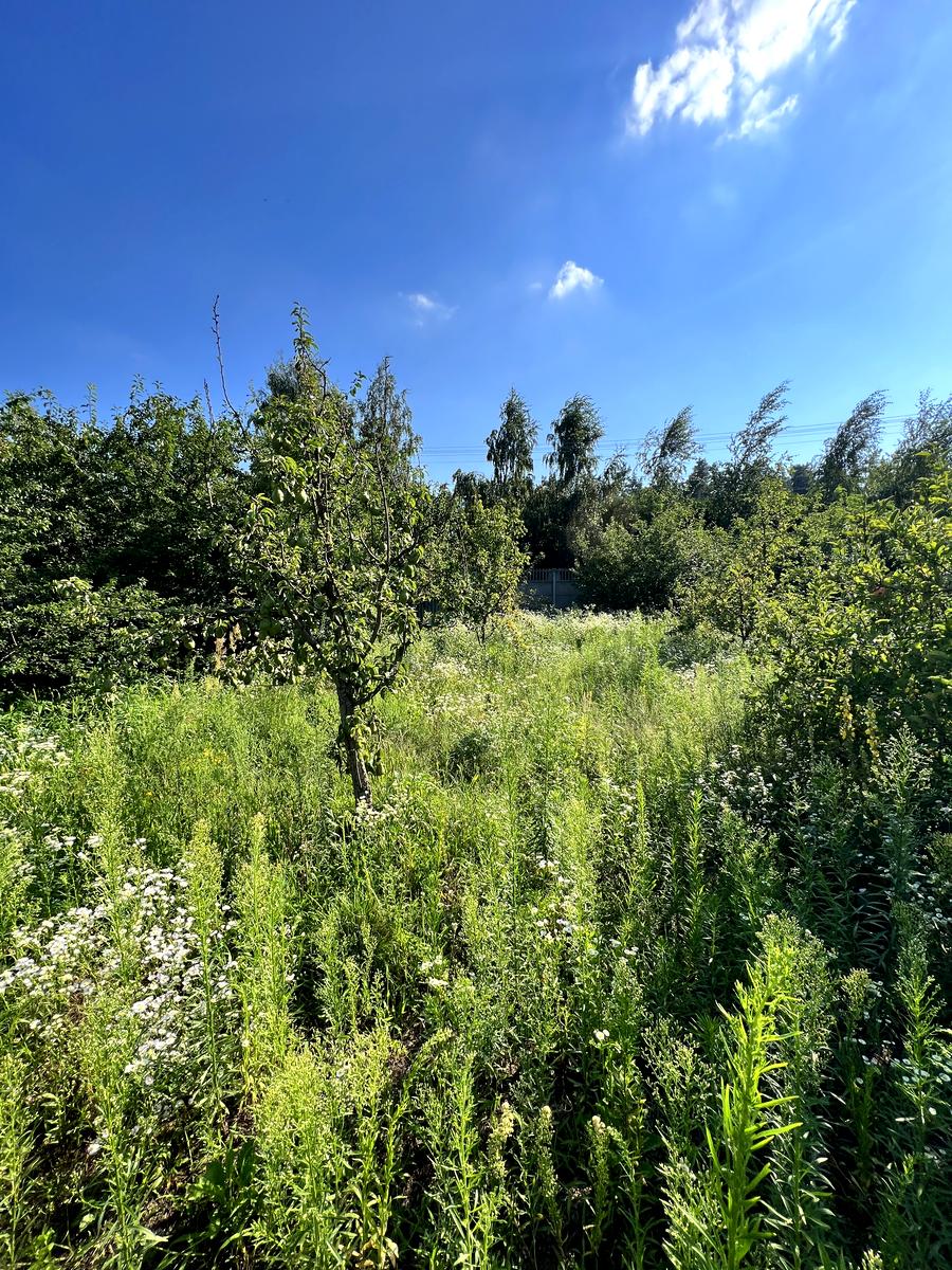 Дом по адресу (площадь 305 м²) - Atlanta.ua - фото 99