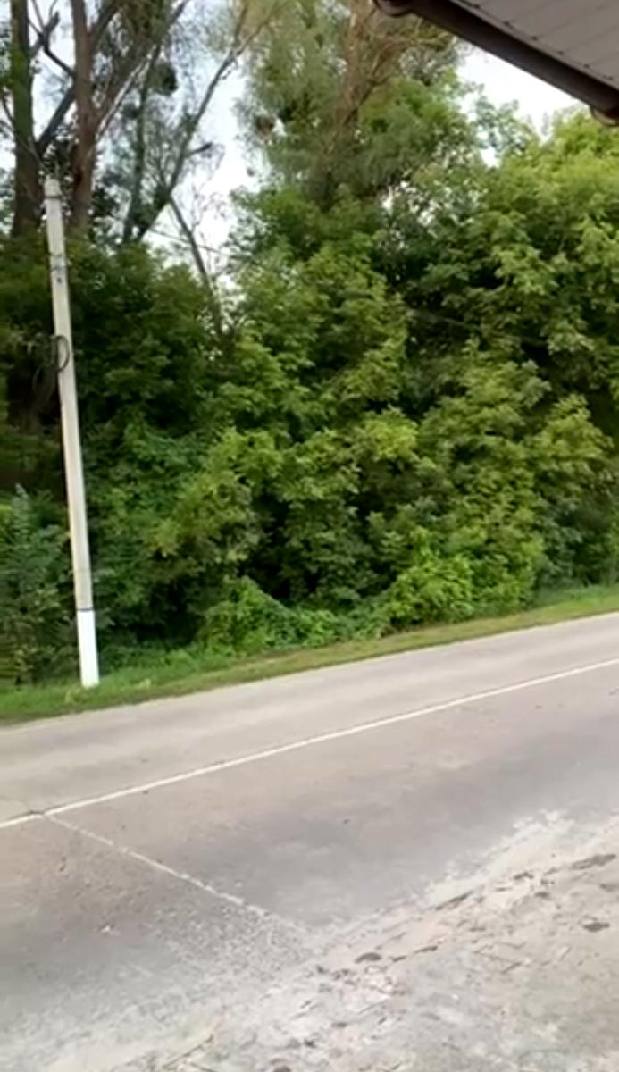 1839788466392214