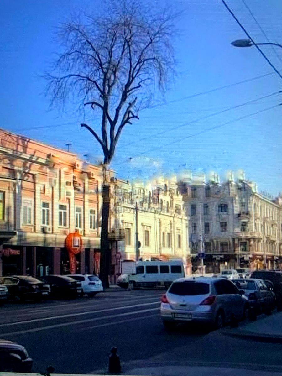 Багатокімнатна квартира за адресою вул. Преображенська (площа 131,4 м²) - фото 2 Багатокімнатна квартира за адресою вул. Преображенська (площа 131,4 м²) - Atlanta.ua - фото 2