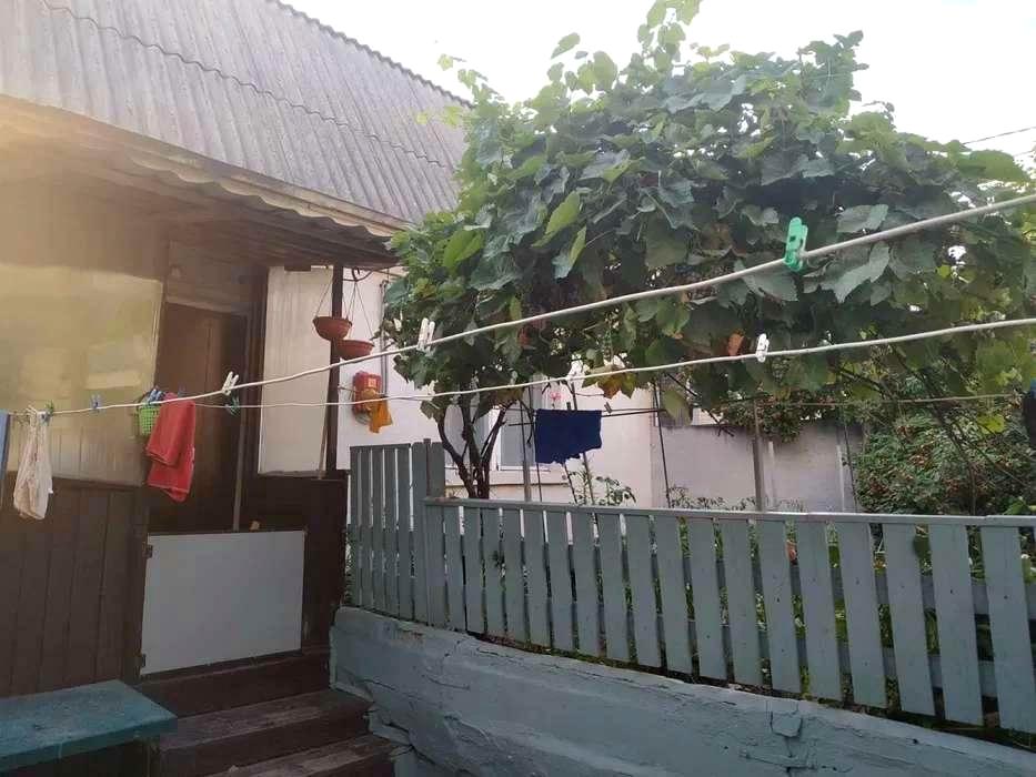1813371204818223