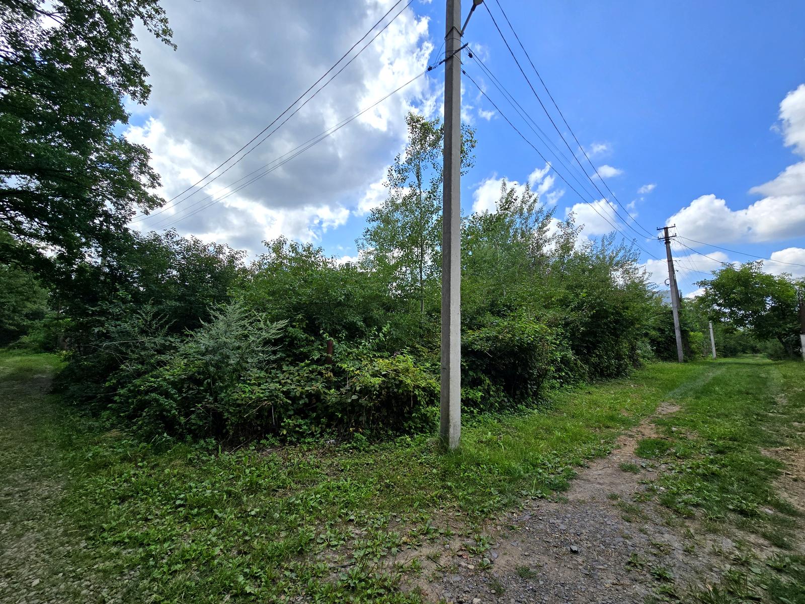 1839620824295226