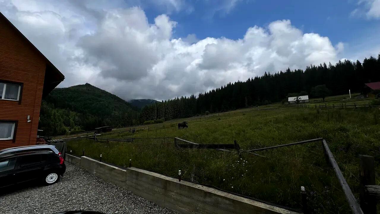 1840976563551226