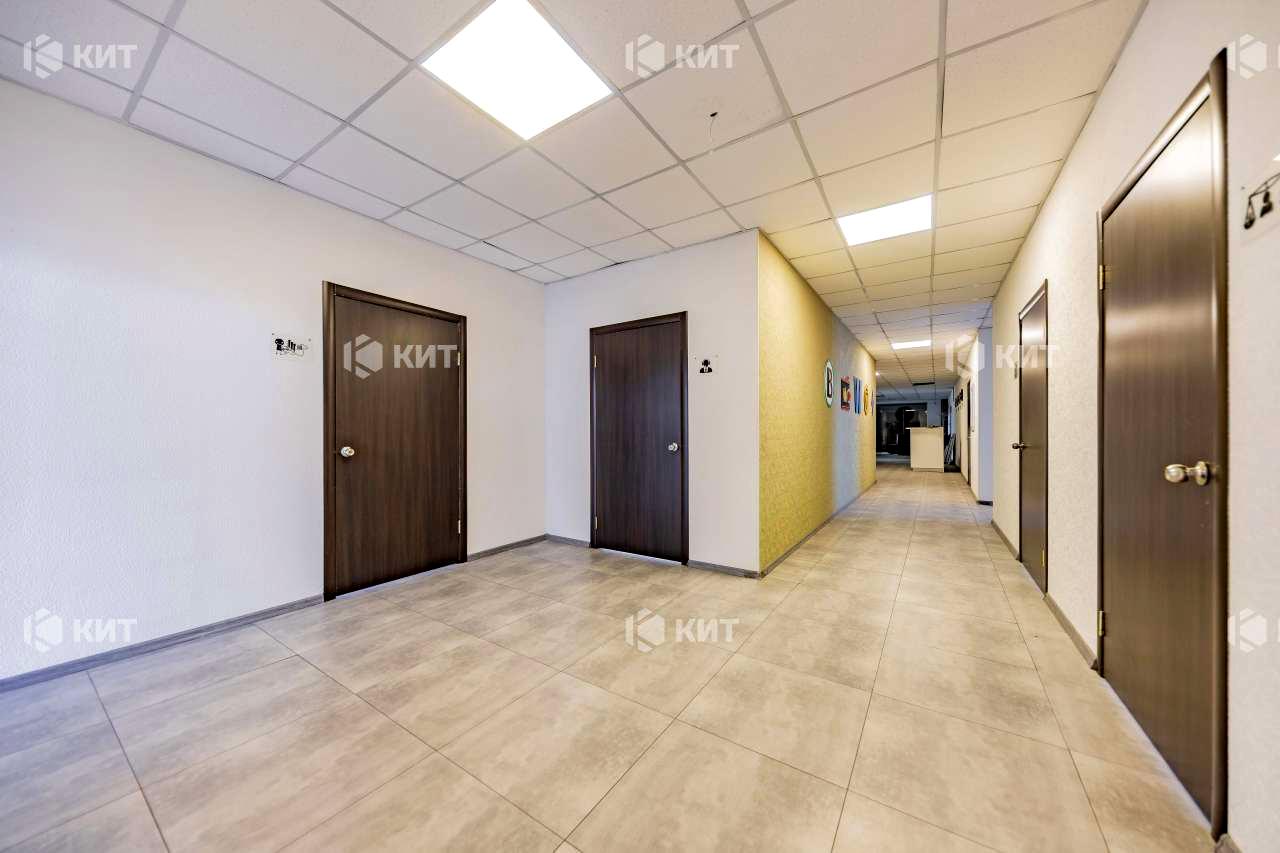 1844239673315226