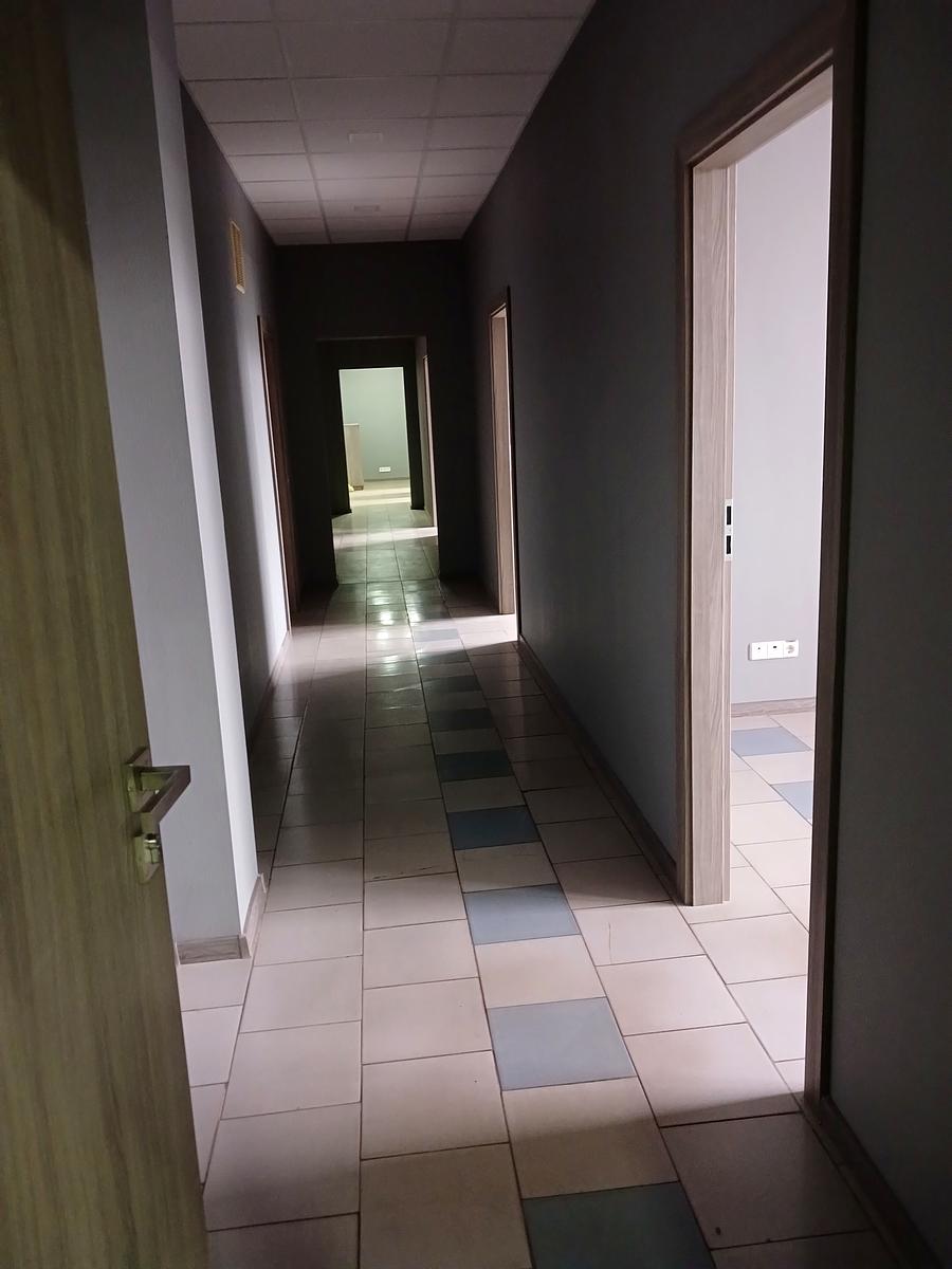 1830827842275229