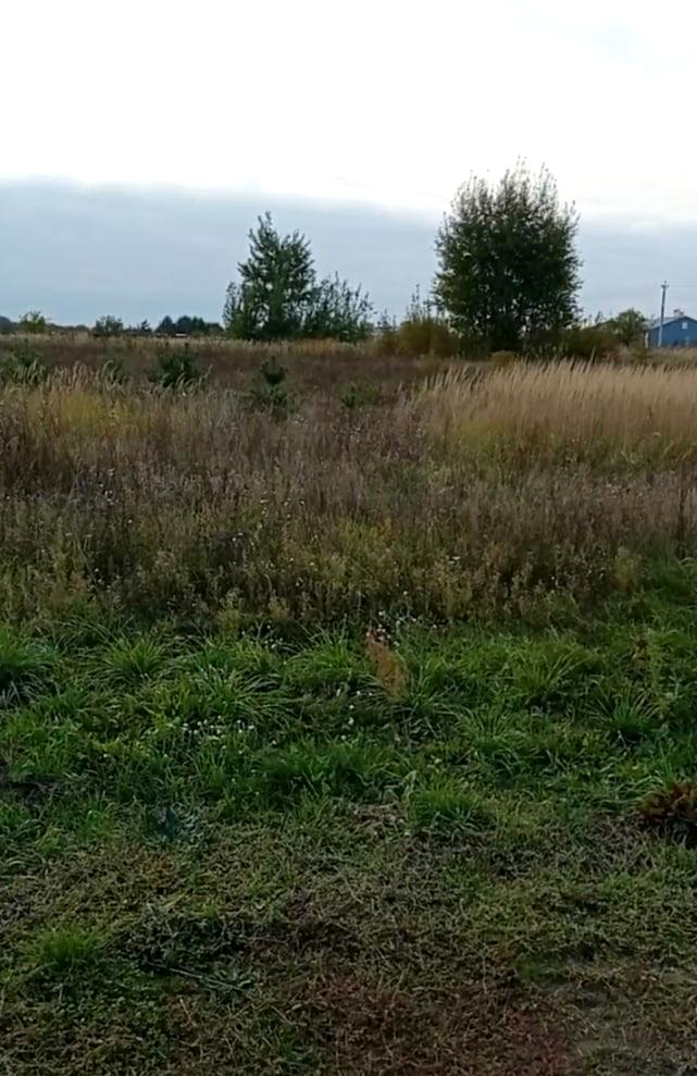 1845468888900236
