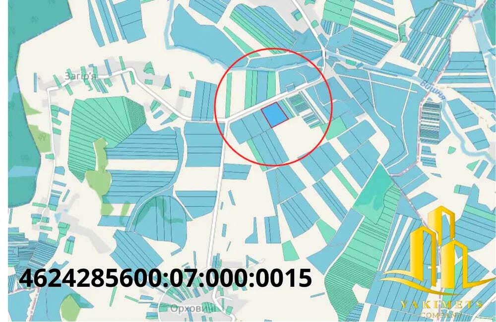 1832547628831242
