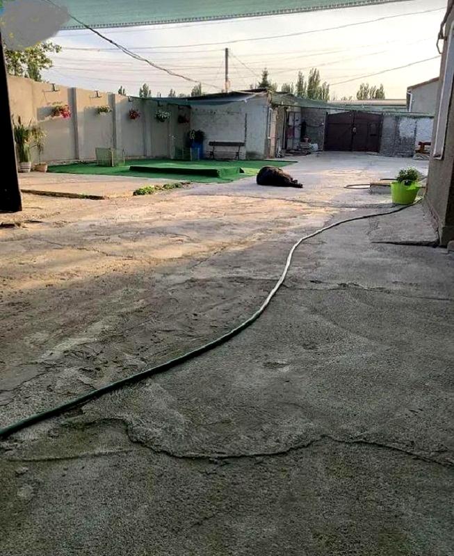 1842963247119248