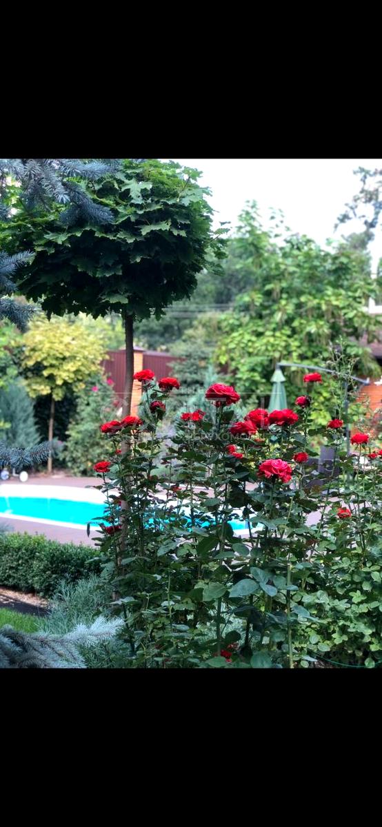 House by the address st. Varshavskaya (area 260 m²) - Atlanta.ua - photo 7