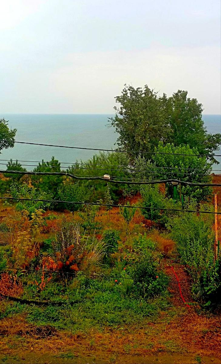 Будинок за адресою вул. Украинки Леси (площа 300 м²) - Atlanta.ua - фото 5