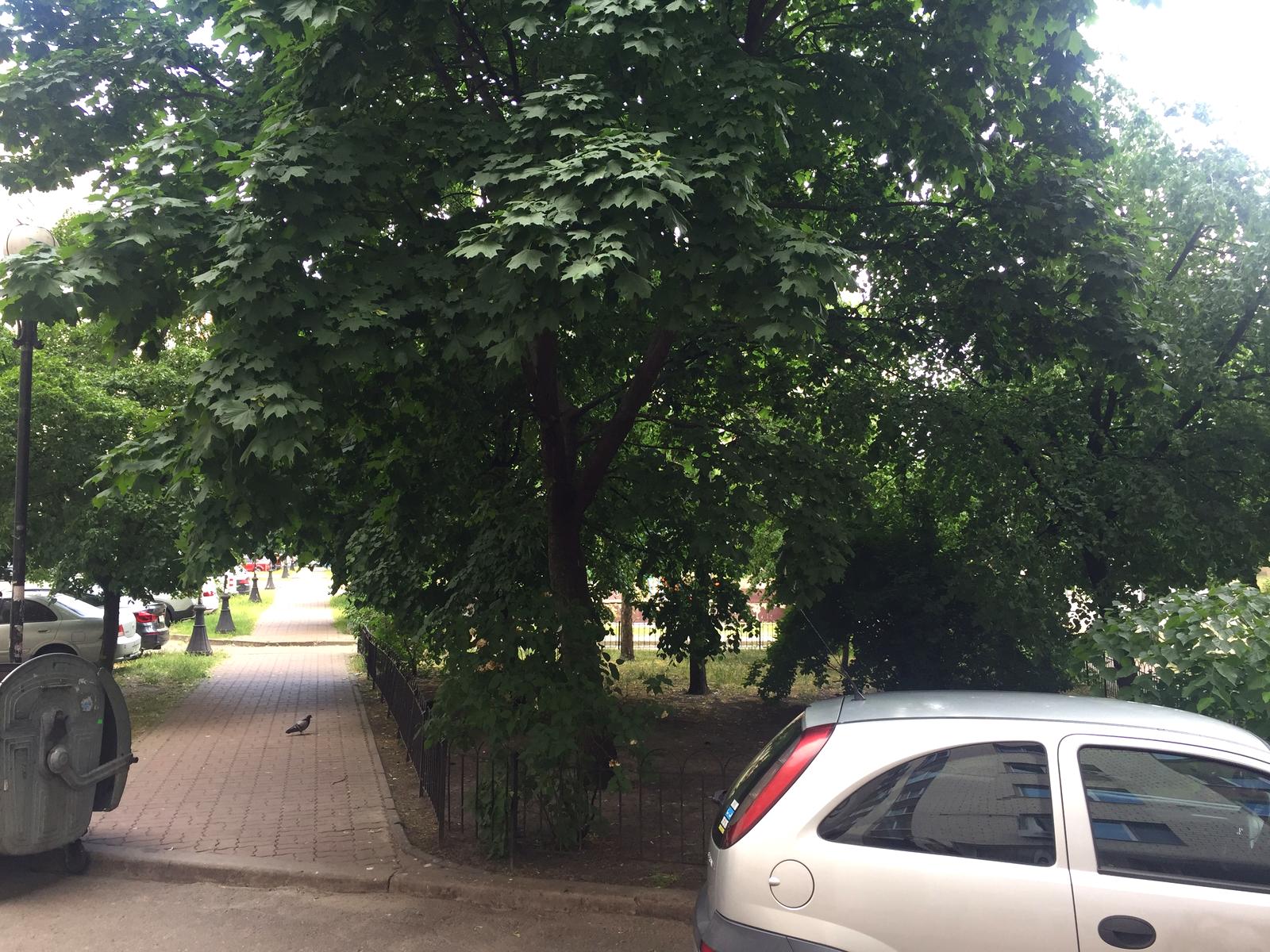 3-комнатная квартира по адресу ул. Лукьяненко Левка(Тимошенко) (площадь 82 м²) - Atlanta.ua - фото 27