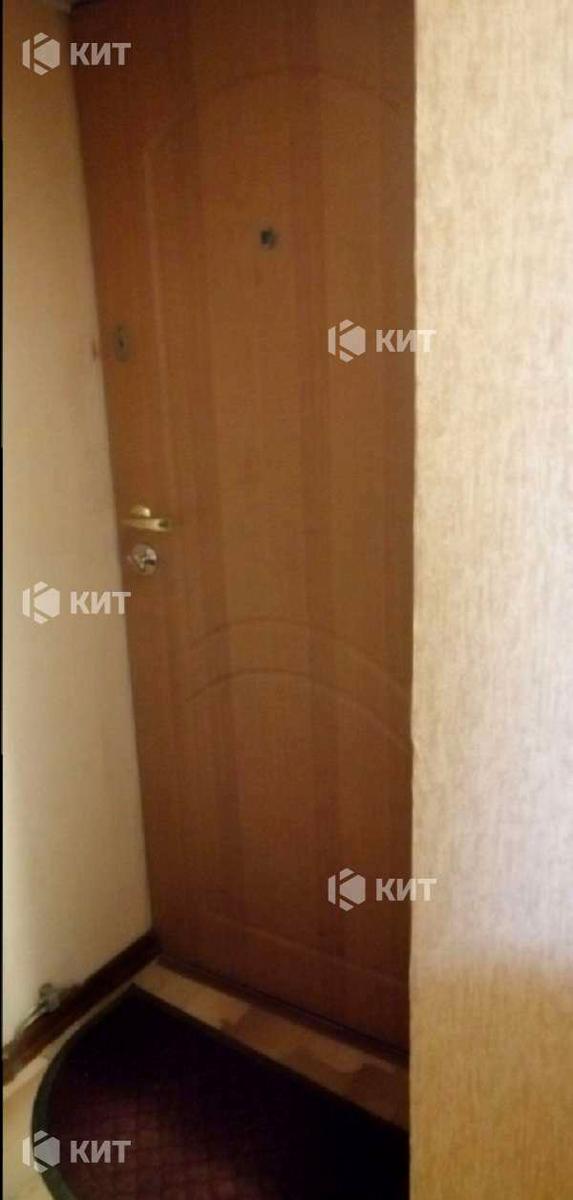 1830645259797258
