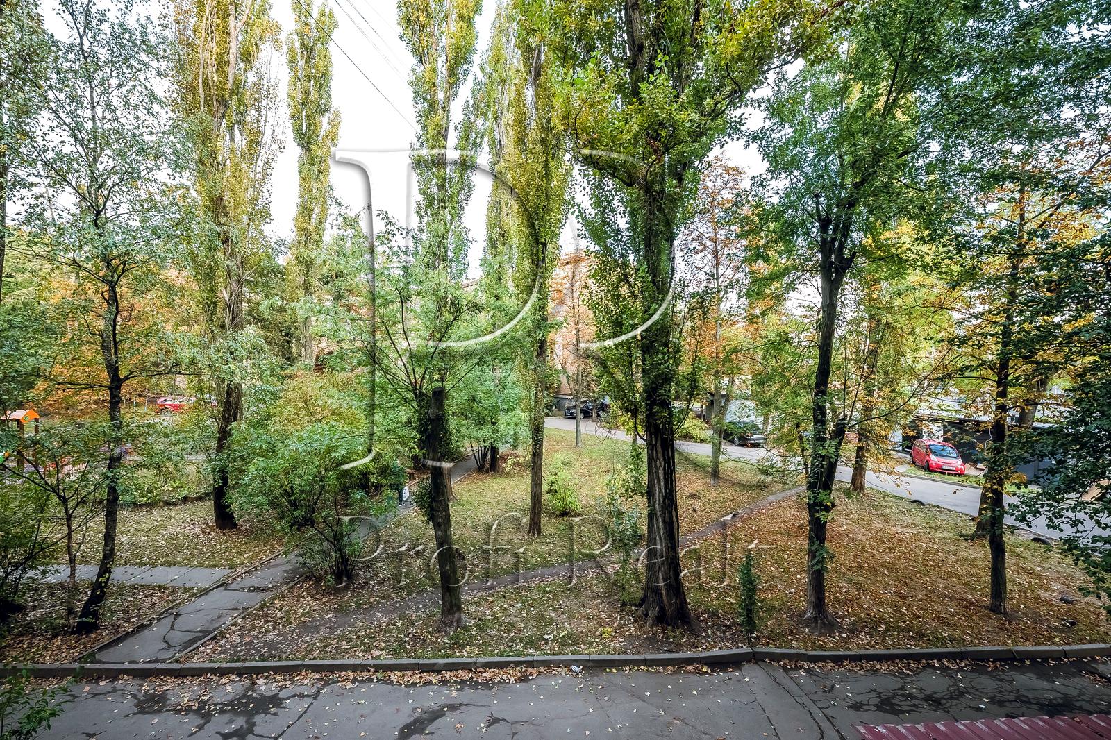1845235683871262