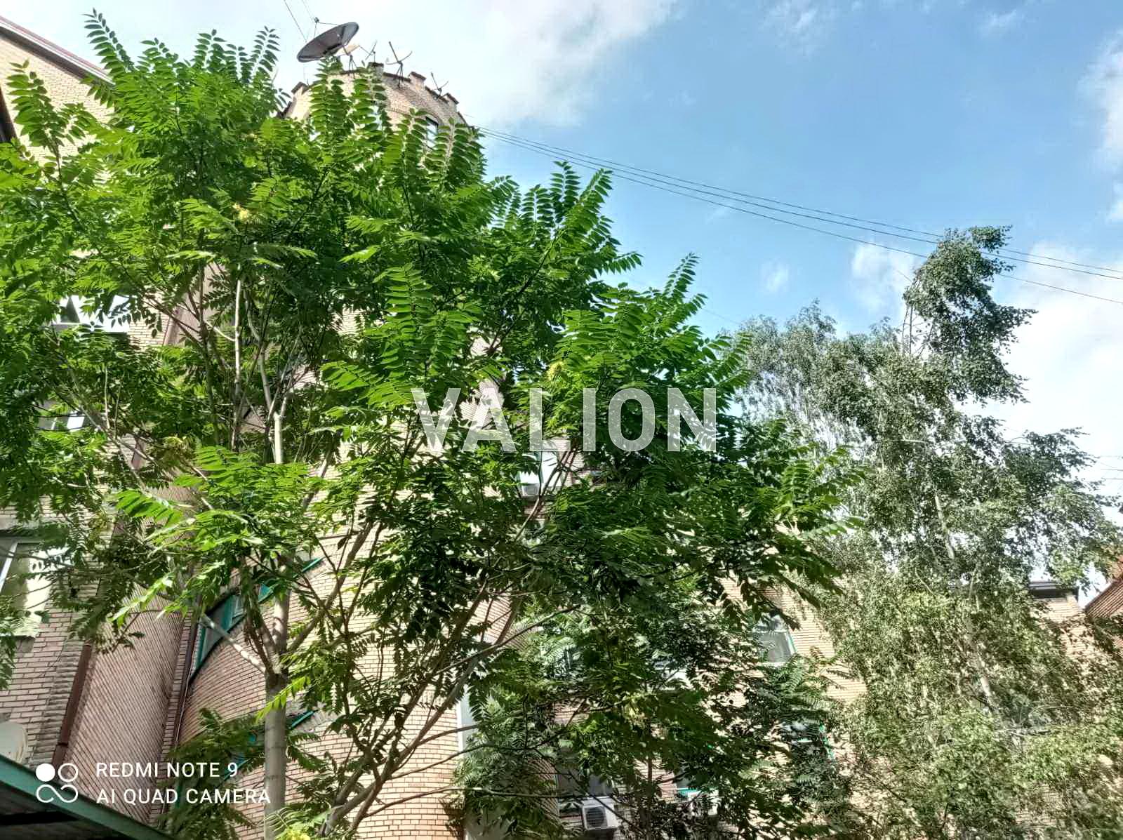 1-room apartment apartment by the address (area 535 m²) - Atlanta.ua - photo 2