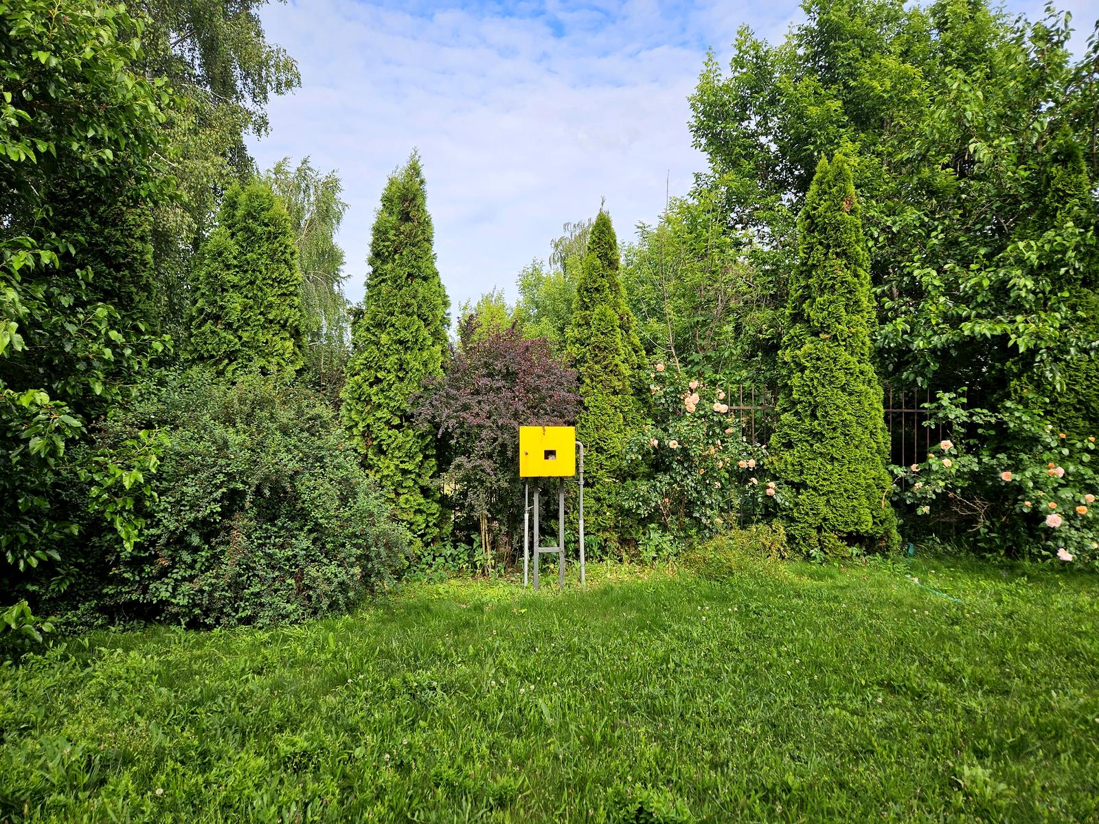 1835372366415264