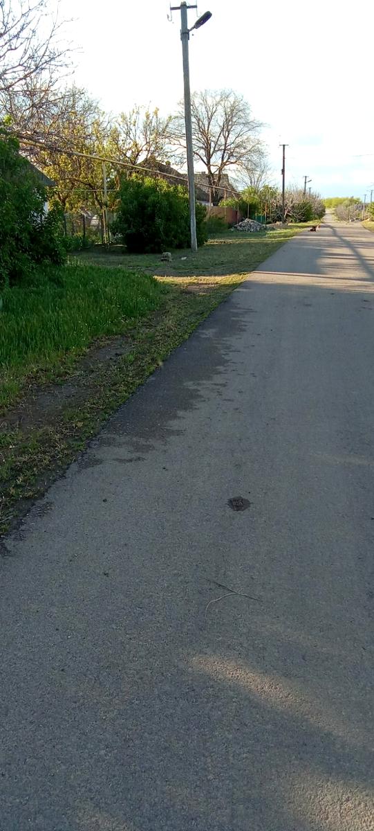 1835445056299269
