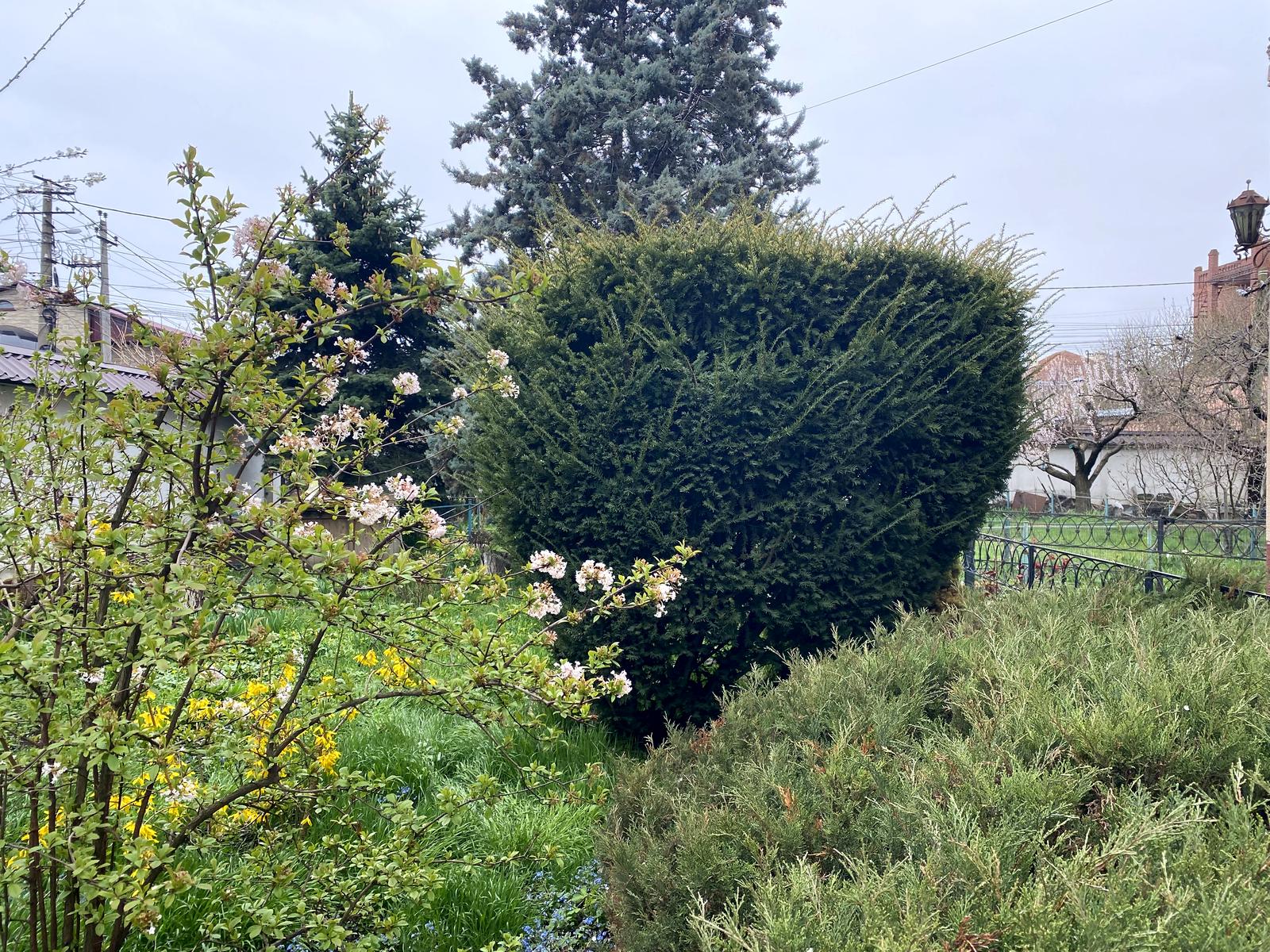 Будинок за адресою Амундсена 2-й пров. (площа 388,5 м²) - Atlanta.ua - фото 10