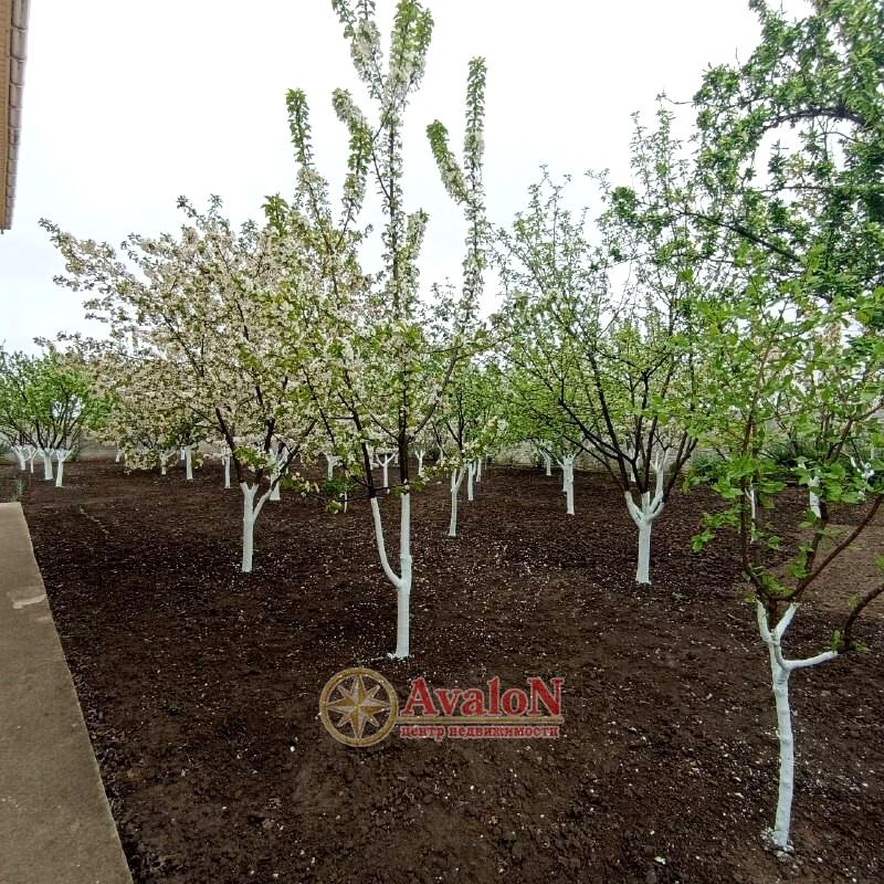 House by the address st. Petropavlovskaya (area 220 m²) - Atlanta.ua - photo 21