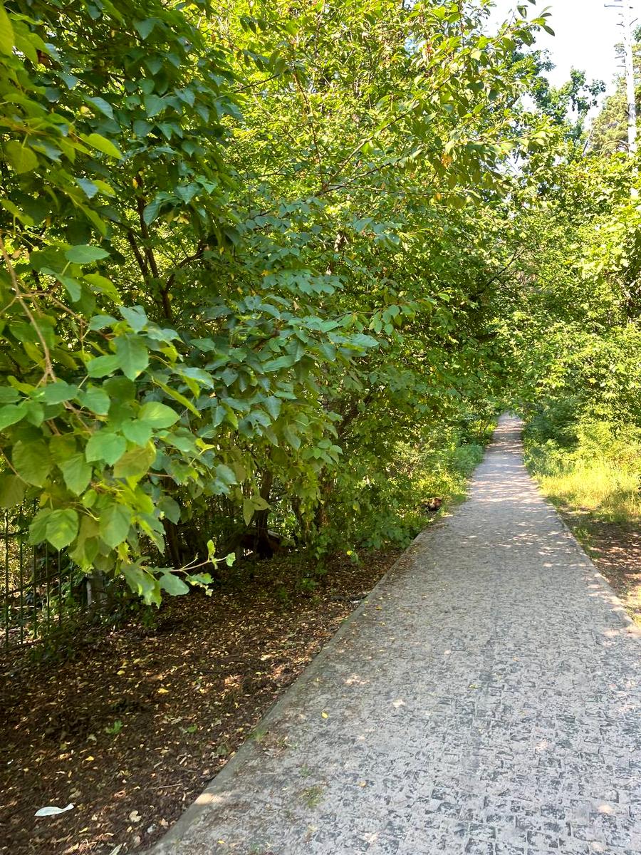 Дом по адресу (площадь 87,7 м²) - Atlanta.ua - фото 16