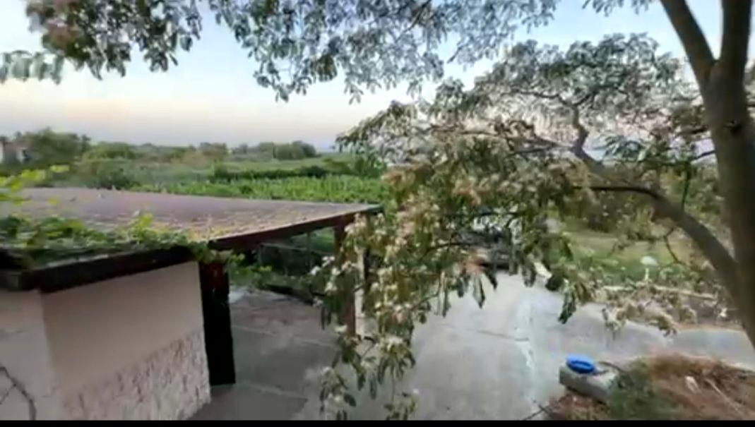 1841069147756297