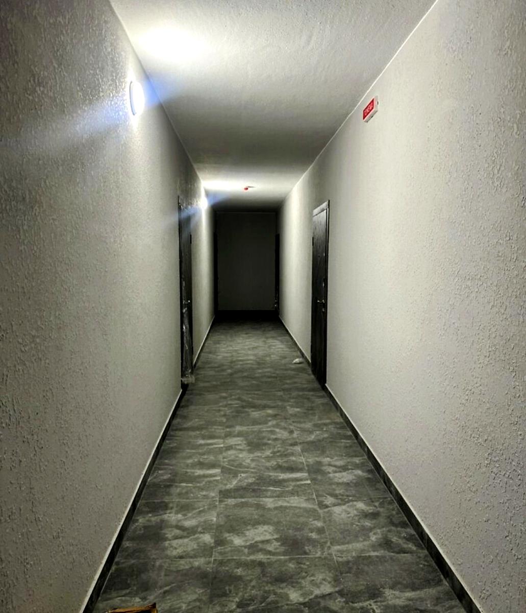 1841762398706304